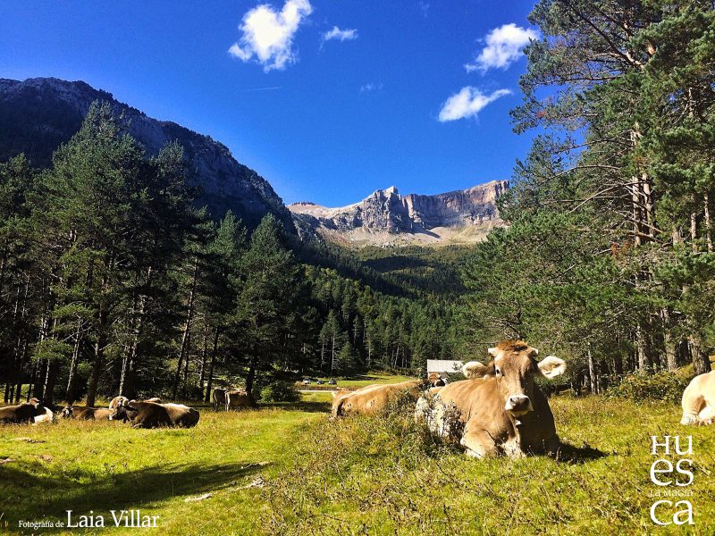 Subida al castillo de acher
