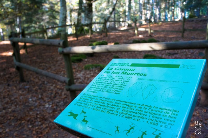Corona de los muertos en selva de Oza (Valle de Hecho)
